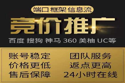 竞价推广策略：某电商平台的成功案例
